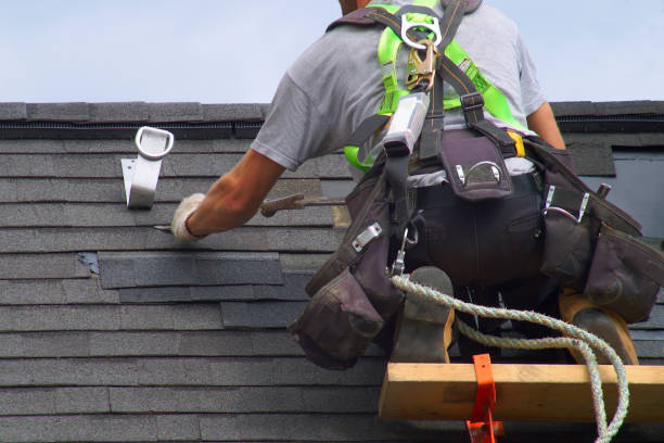 Roof Restoration in Grand Marais, MN